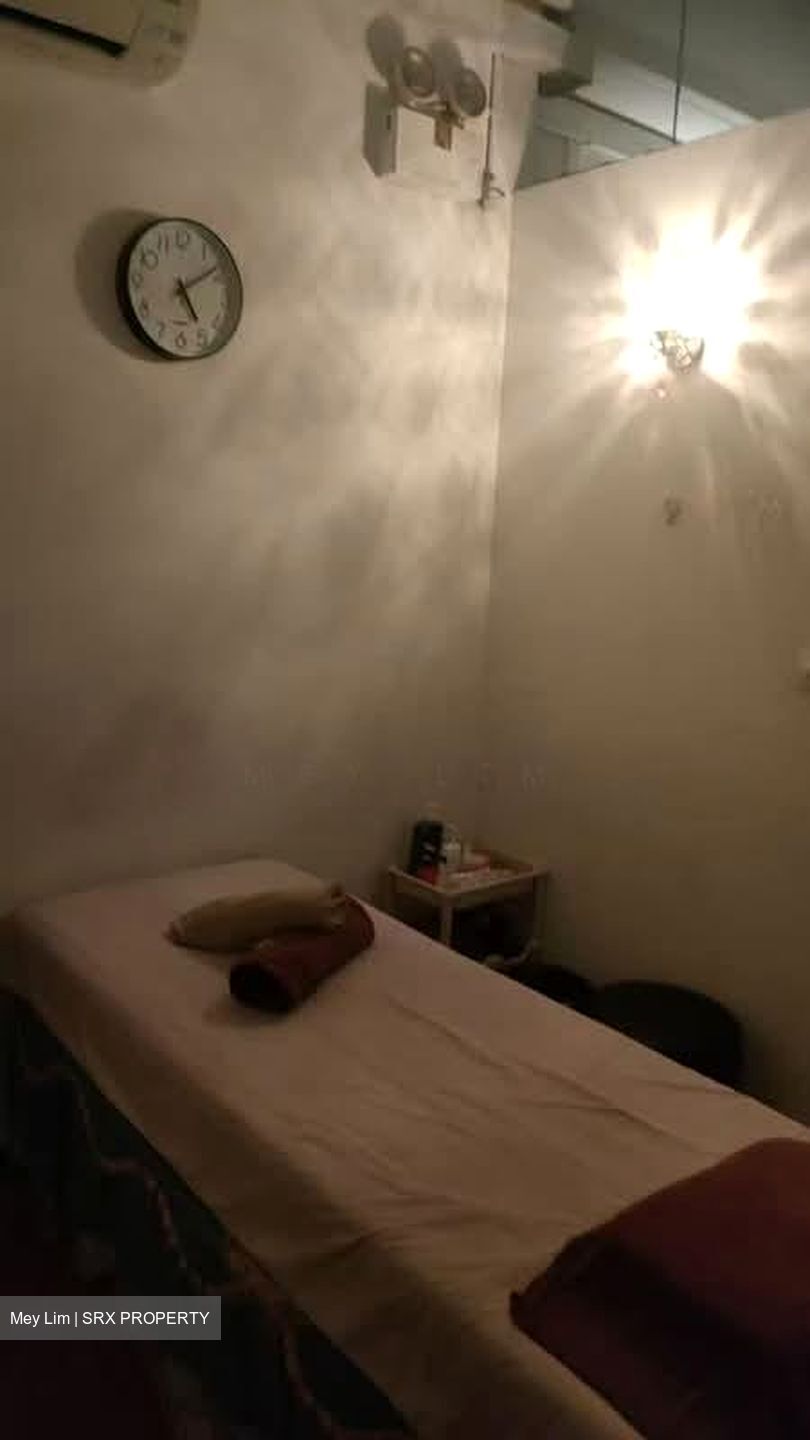 Rocca Balestier (D12), Shop House #565749171